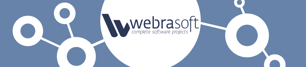 webrasoft projects